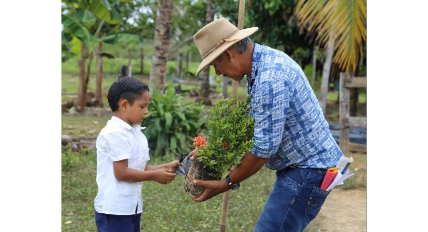 La cultura de paz como brújula de desarrollo sostenible en territorios afectados por el conflicto