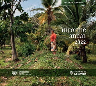 Informe-Final-Resumen-Ejecutivo-2022-ONU