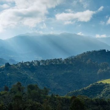 45d5ec_67d360f5e8c541d7bae8bbc5d0736fd1~mv2