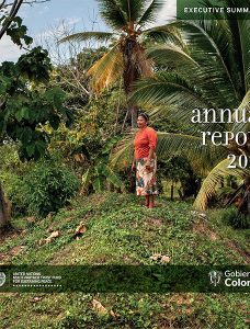 Informe-Final-Resumen-Ejecutivo-2022-ONU-vingles-1